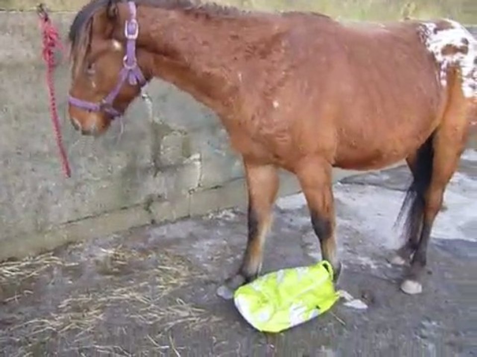 re mon bebe mon nounours mon ti lou etc...