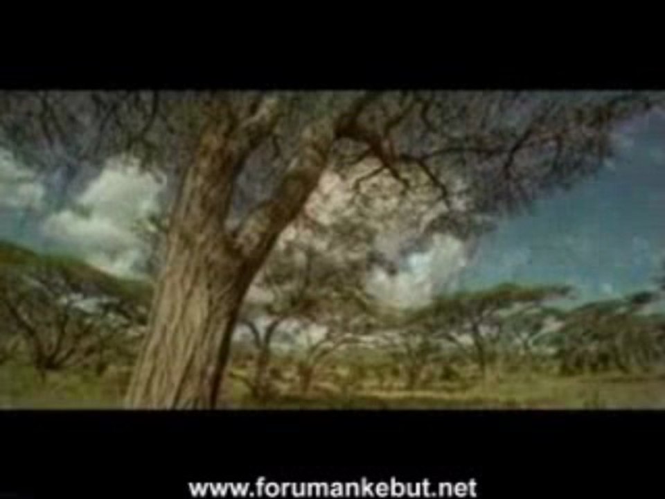 Lut a.s Belgesel  www.forumankebut.net