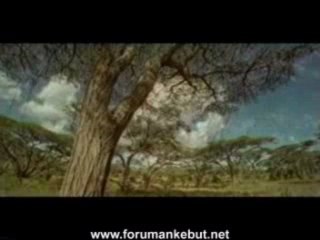 Lut a.s Belgesel  www.forumankebut.net