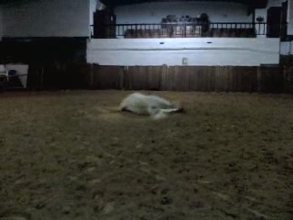 Une licorne se roule