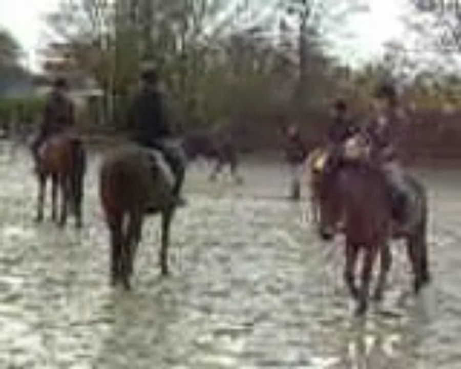 Kawa et marine