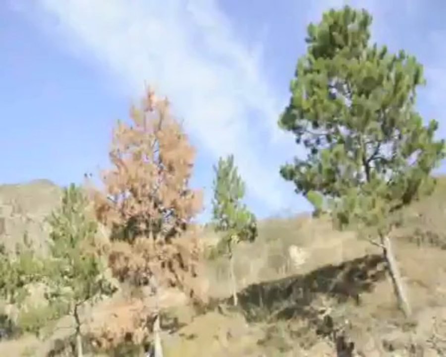 xertvisi - sakartvelo la georgie