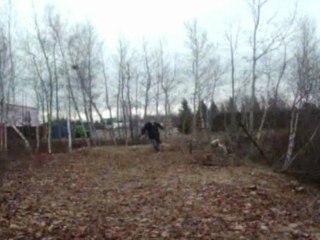 Albert of the bois 6.5