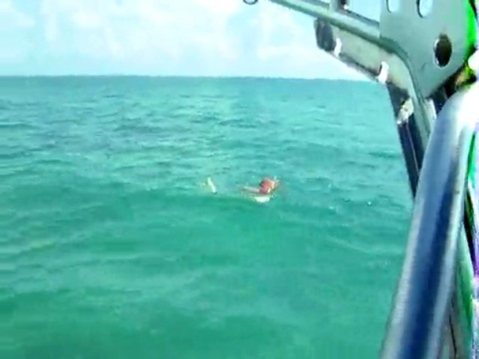 Langusten Tauchen auf Cayo Largo Del Sur