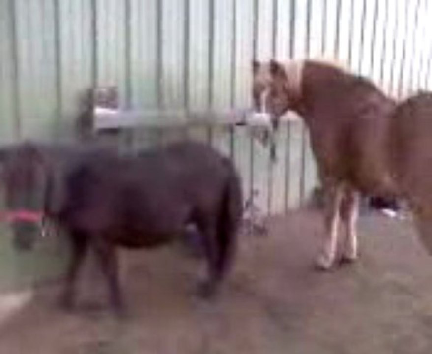 Boudezan & Calou <3