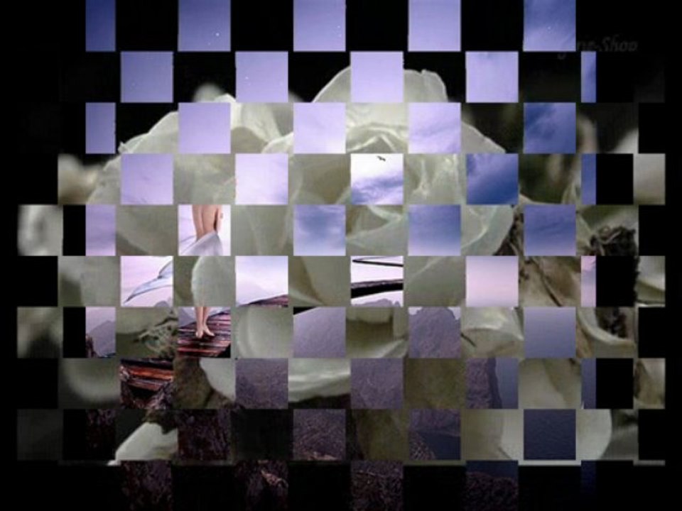 erinnerung an bingoman