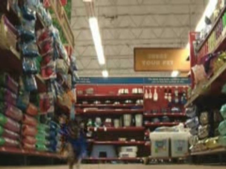 Wally on the Run: Badger