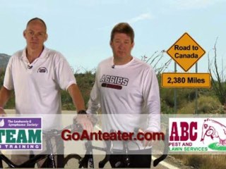 Eyecon Video Productions - ABC Pest and Lawn 1