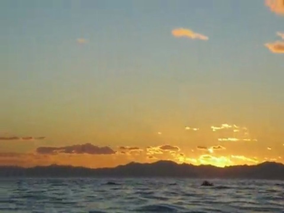 NZ Abel Tasman Park: Dolphins sun rise!