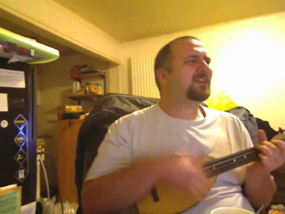 Elle a les yeux revolver ukulele cover