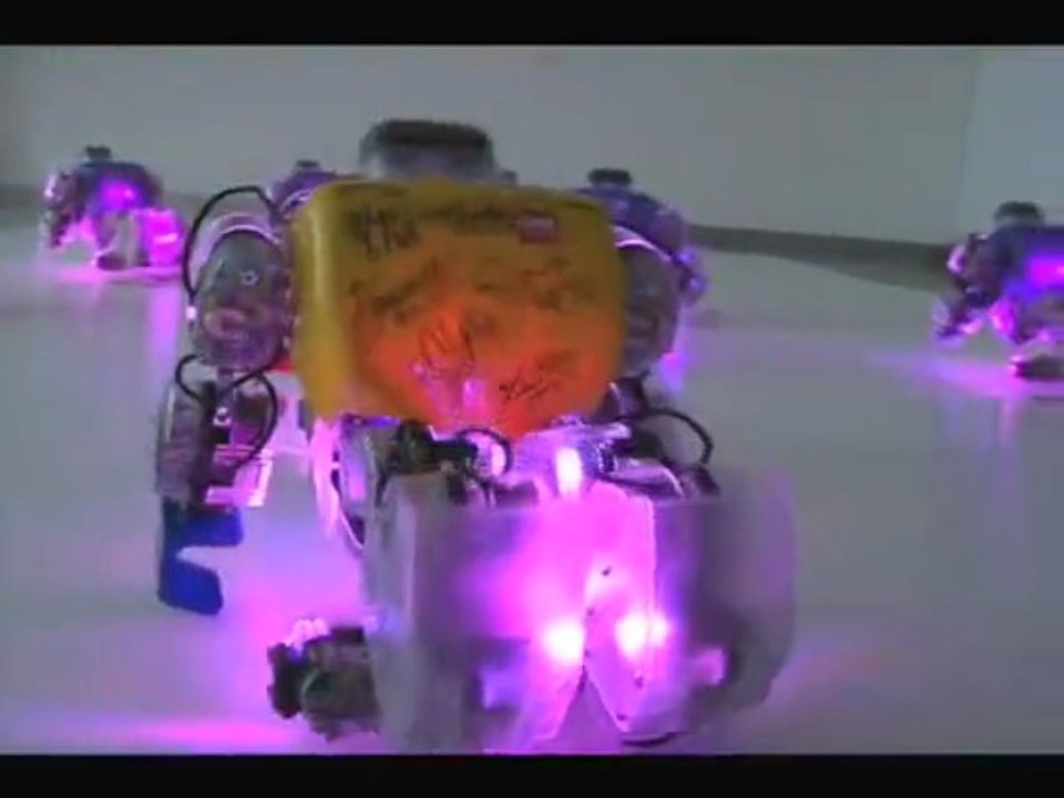 Robot Christmas dance