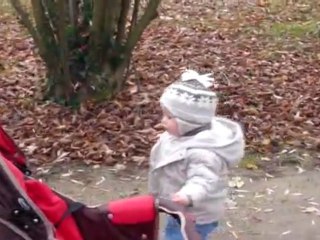 balade dans les feuilles