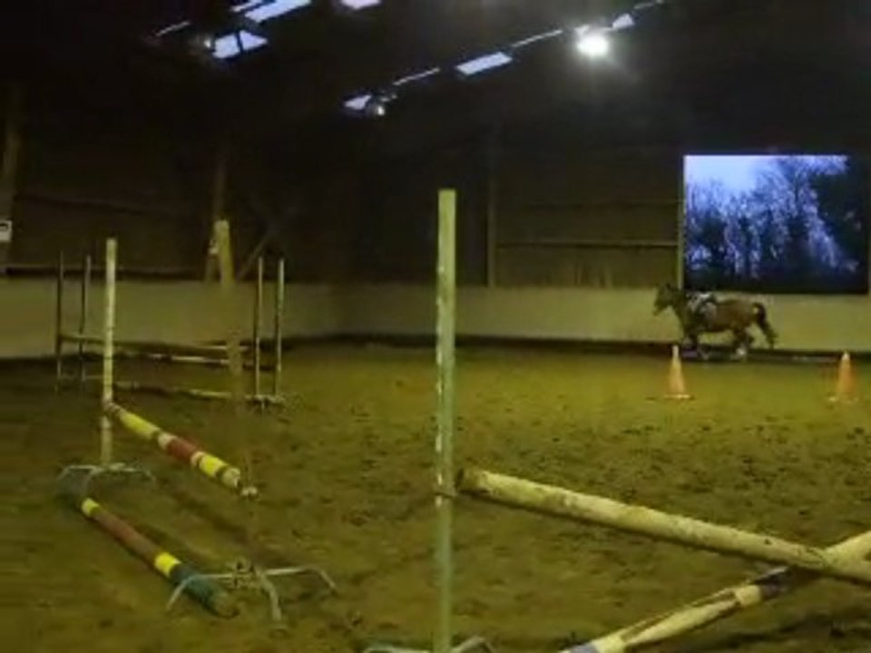 Cours de saut avec Moor