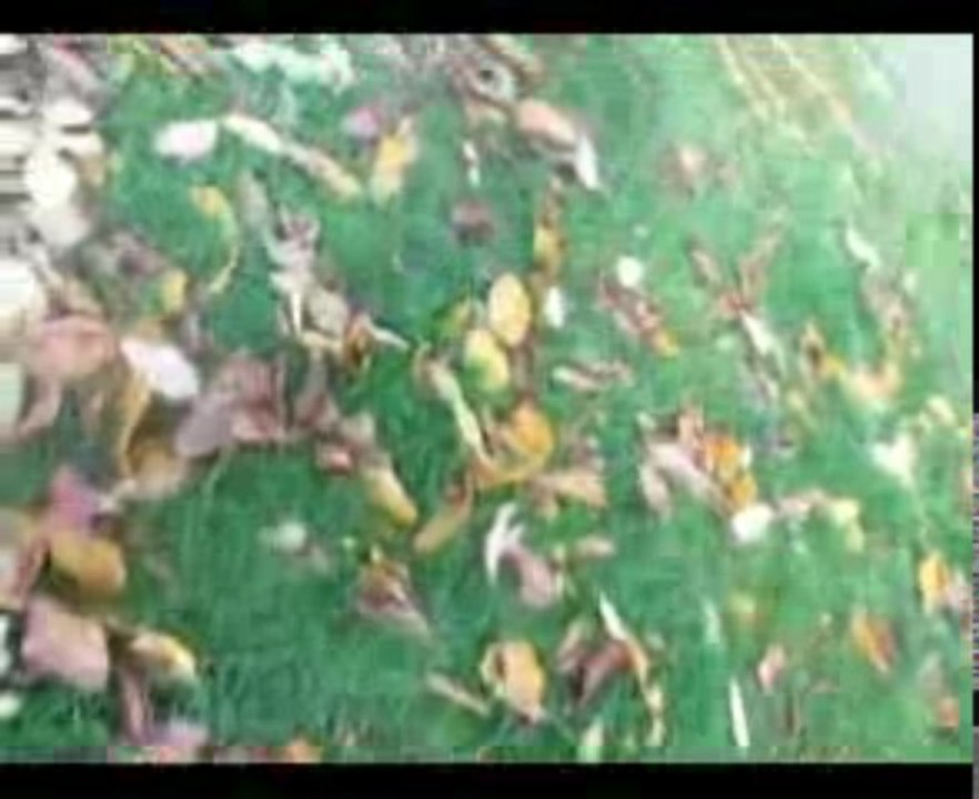 Acoustique Compo Too Long