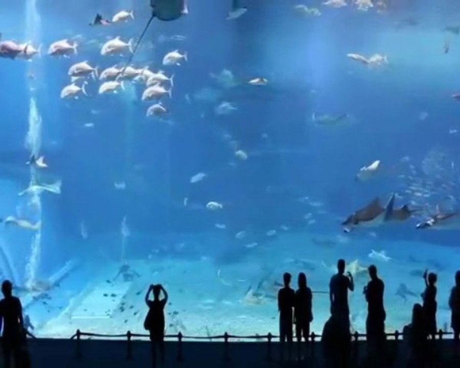 Noiseevoluter - Tiefe Wasser ( deep waters )