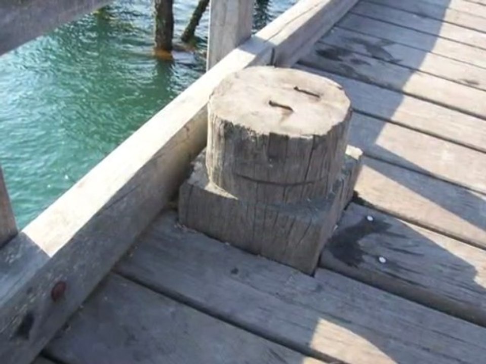 Noirmoutier entre sel et mer