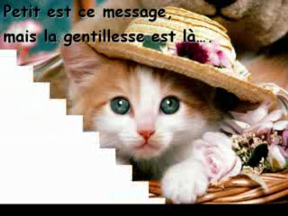 la gentillesse