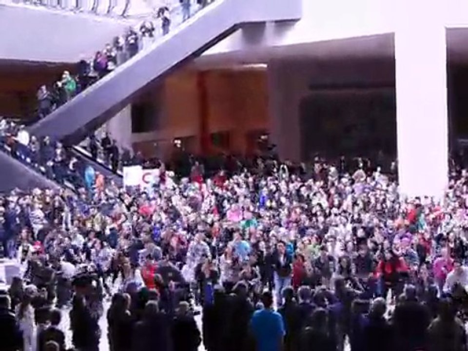 La flashmob de la chaine de l'espoir au Louvre, Paris