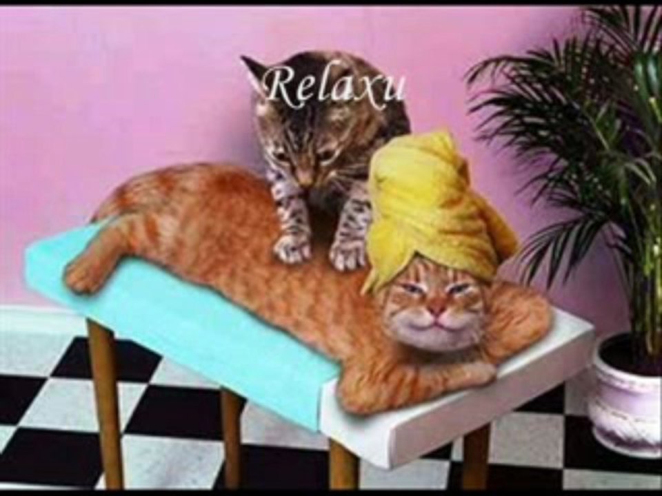 Funny Relaxing Music