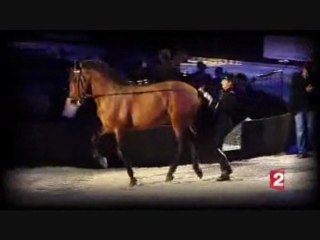 Cavaliers du Cadre Noir 2/2