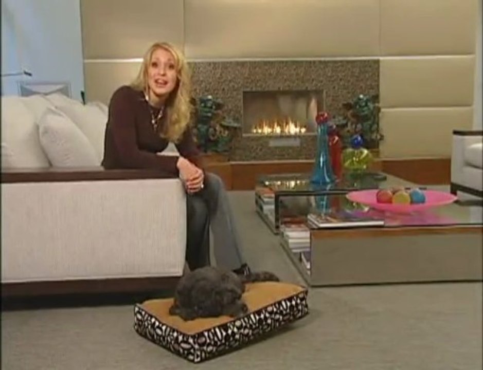 Dog Beds - Performance Fabric & Stain Resistant Pet Beds