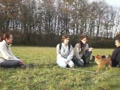 Ôkami au bois de Serre - 21.11.09