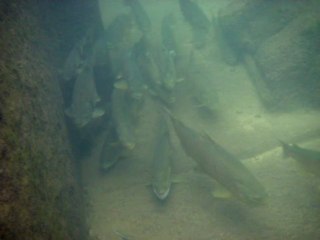 Préparatifs Next Génération