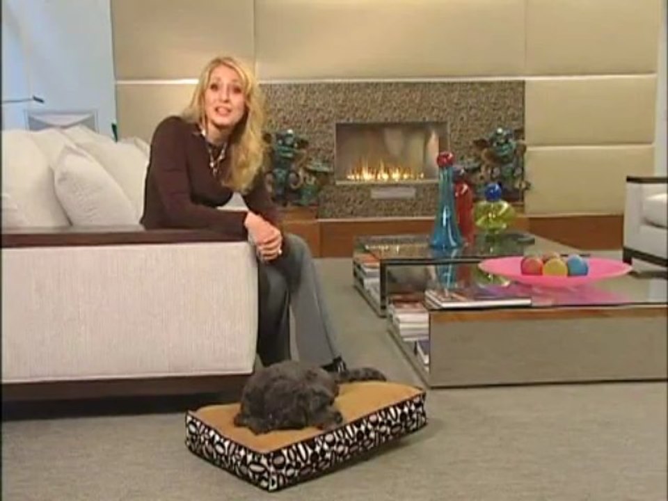 Dog Beds - Performance Fabric & Stain Resistant Pet Beds