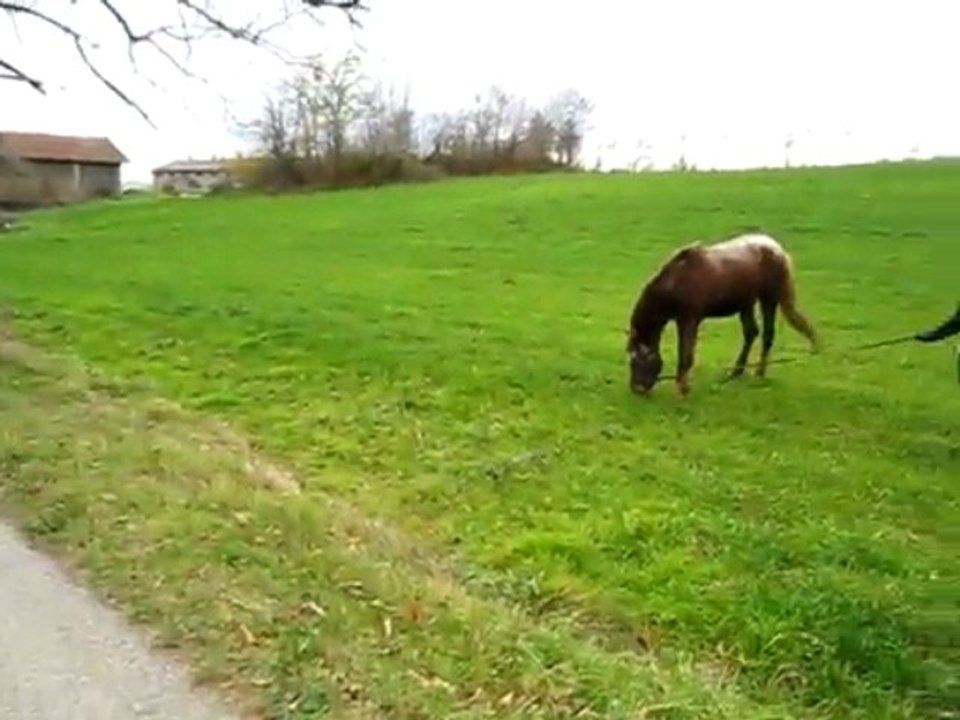 balade du 29 novembre 2009