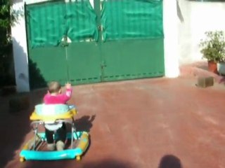 Trotteurs dans le jardin