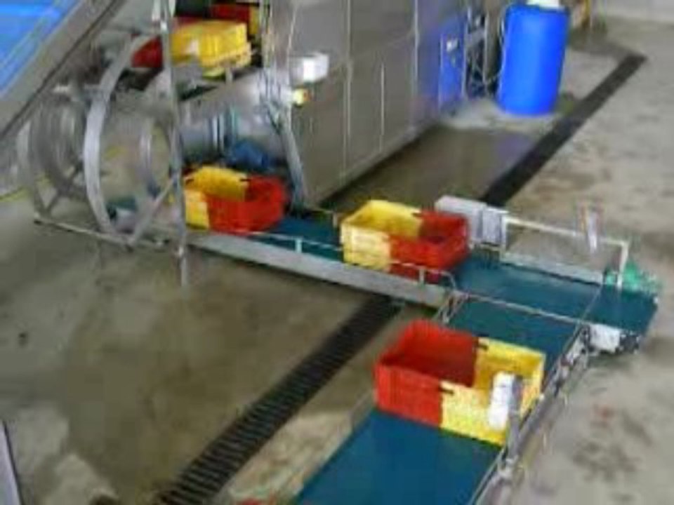 Convoyeurs avec retourneurs de caisses et laveuse intégrée