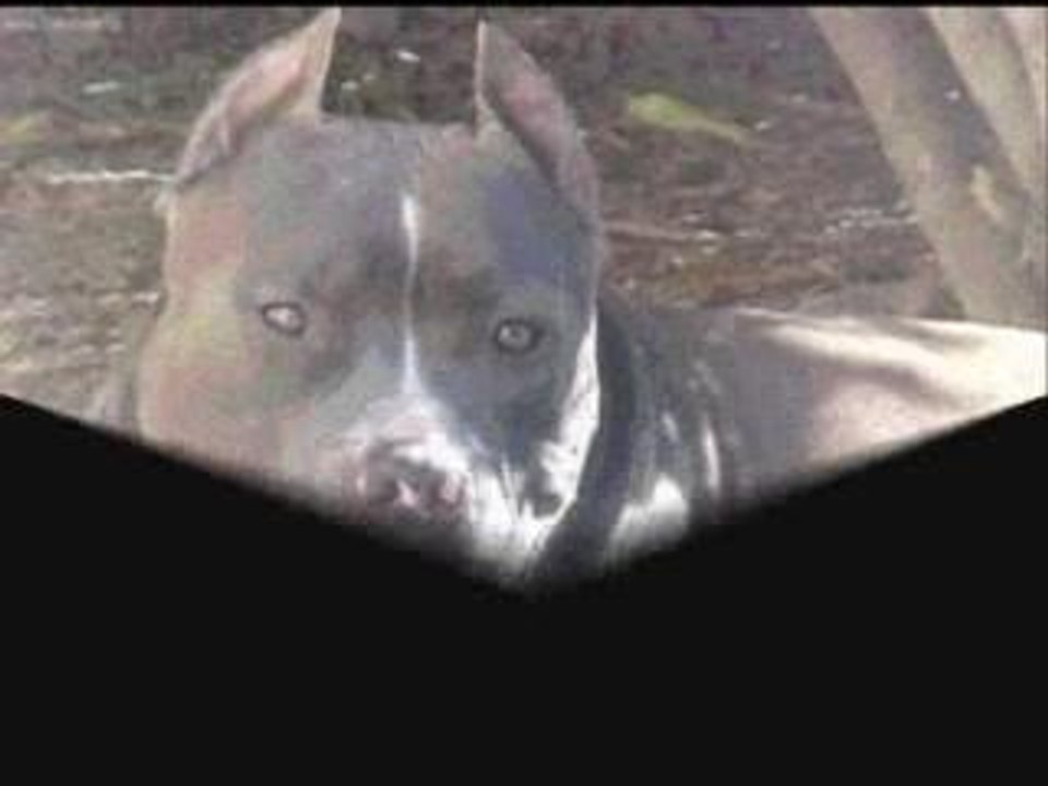pit