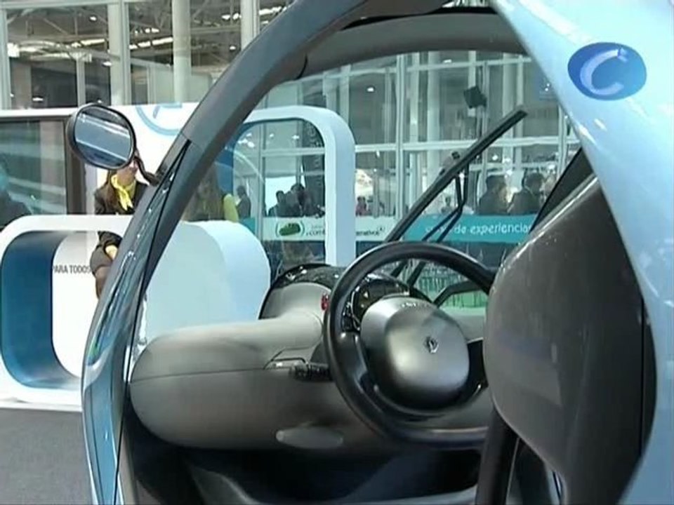 coches electricos CyL con mosca