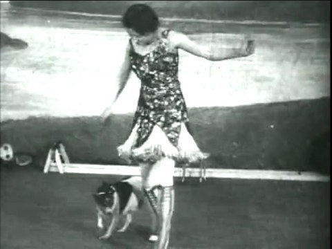 Steve Martin Presents Steve Martin's 'Wally on the Run'