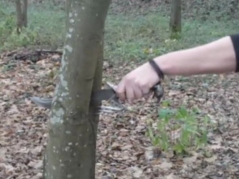 Nicototothon
