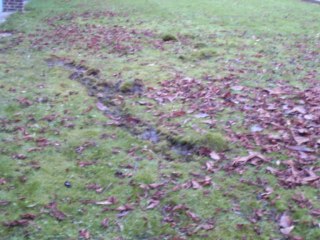 Auto ramt muur geldershofschool