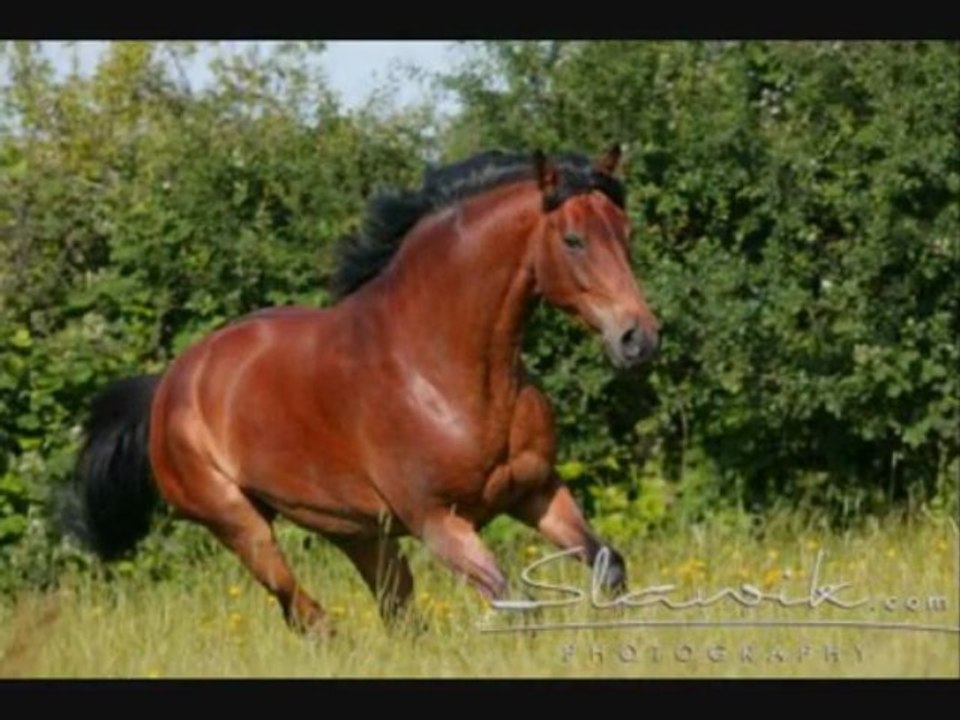 Breaking Benjamin - On My Own