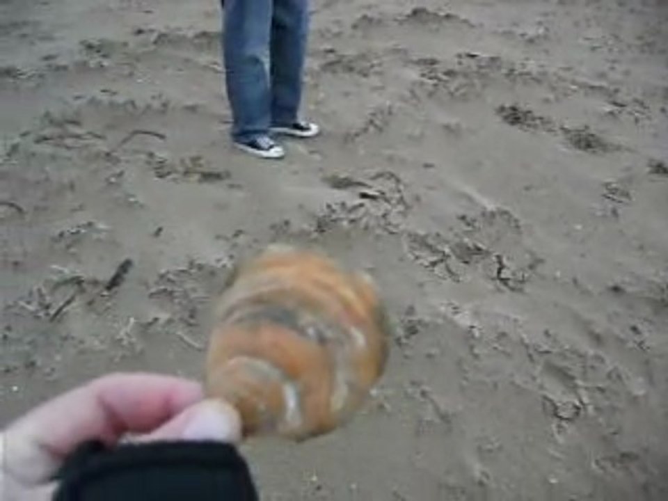 on the beach