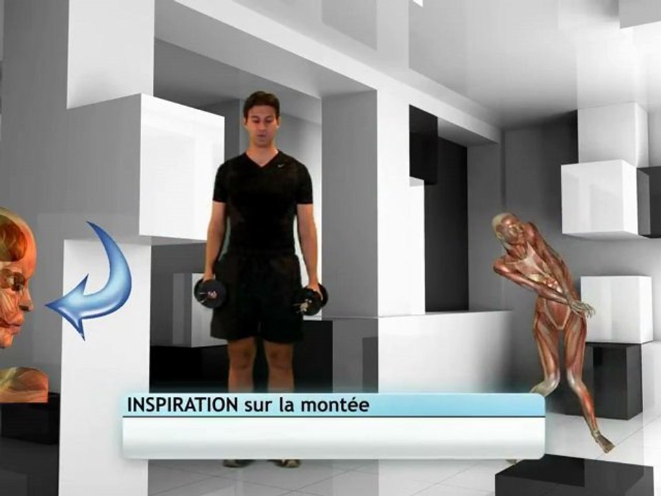 Elevation latérale debout avec haltères