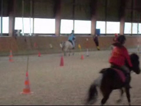 carton 29 novembre pony games