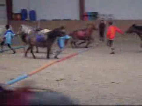 a terre a cheval 29 novembre 2009 pony games