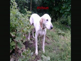 spa refuge de la loue