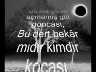 Güneşin Rengi - Mehmet Ali Arslan