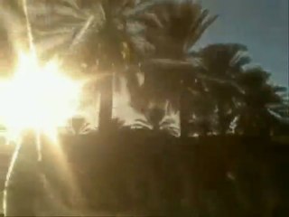 TOLGA vers route du Sahara طولقة