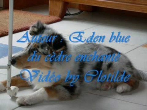 Apprentissage de l'ordre assis Eden