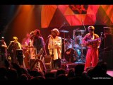 Israel Vibration - Miscalculation