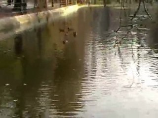 Titan Lake(IOR) - 30 November 2009,Part Tow