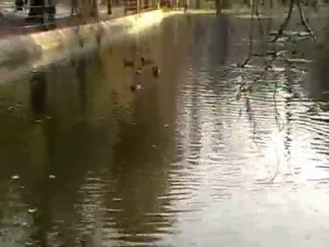 Titan Lake(IOR) - 30 November 2009,Part Tow