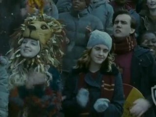 Harry Potter and the Half-Blood Prince Great Goalie