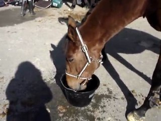 Jacquet fait des bulles
